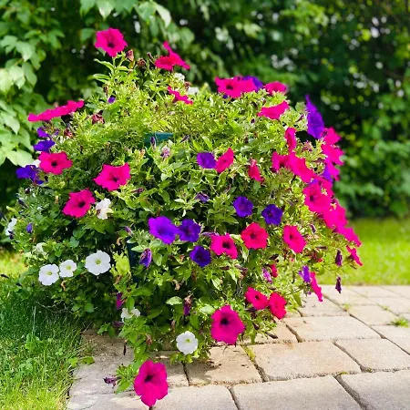 Zweitwohnsitz Apartamento Ebermannstadt