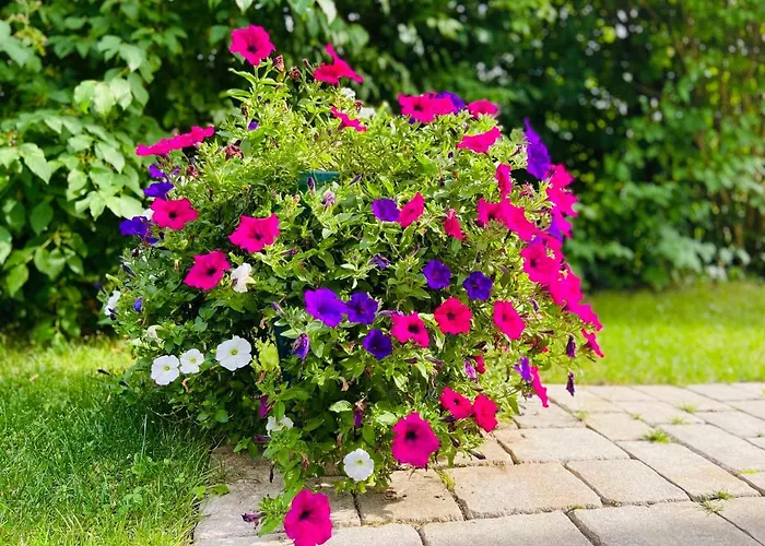 Zweitwohnsitz Апартаменты Эберманнштадт